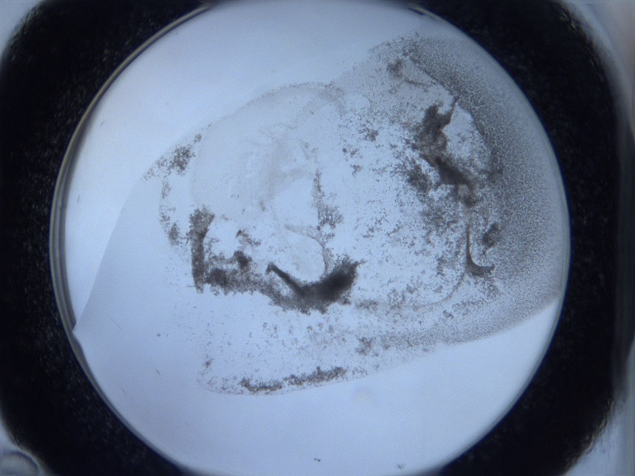 06hg_D10_ImagerDefaults_3.jpg
