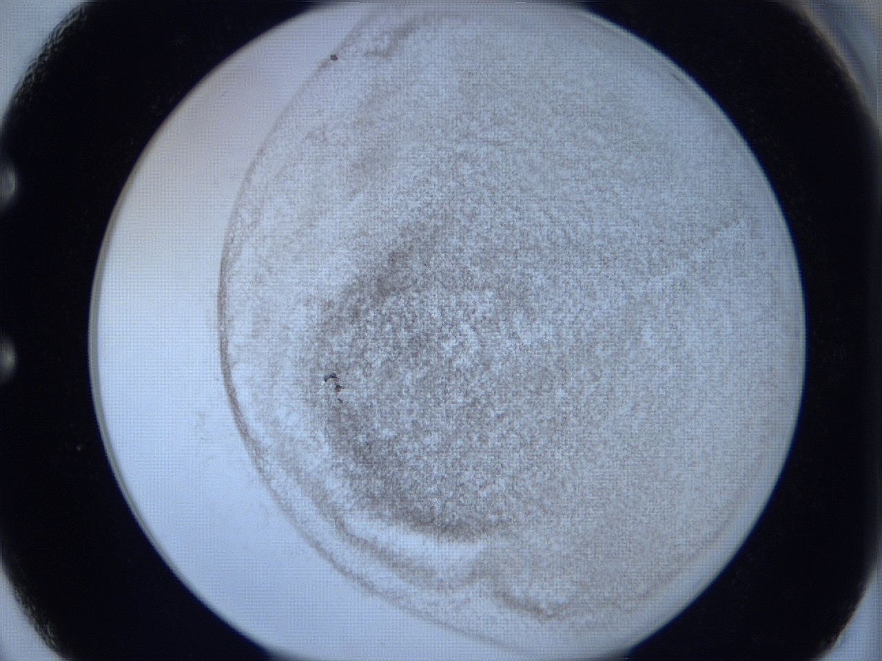 06hg_E2_ImagerDefaults_3.jpg