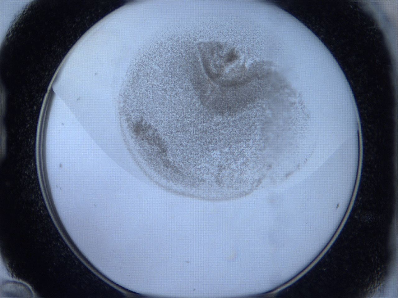 06hg_B12_ImagerDefaults_3.jpg