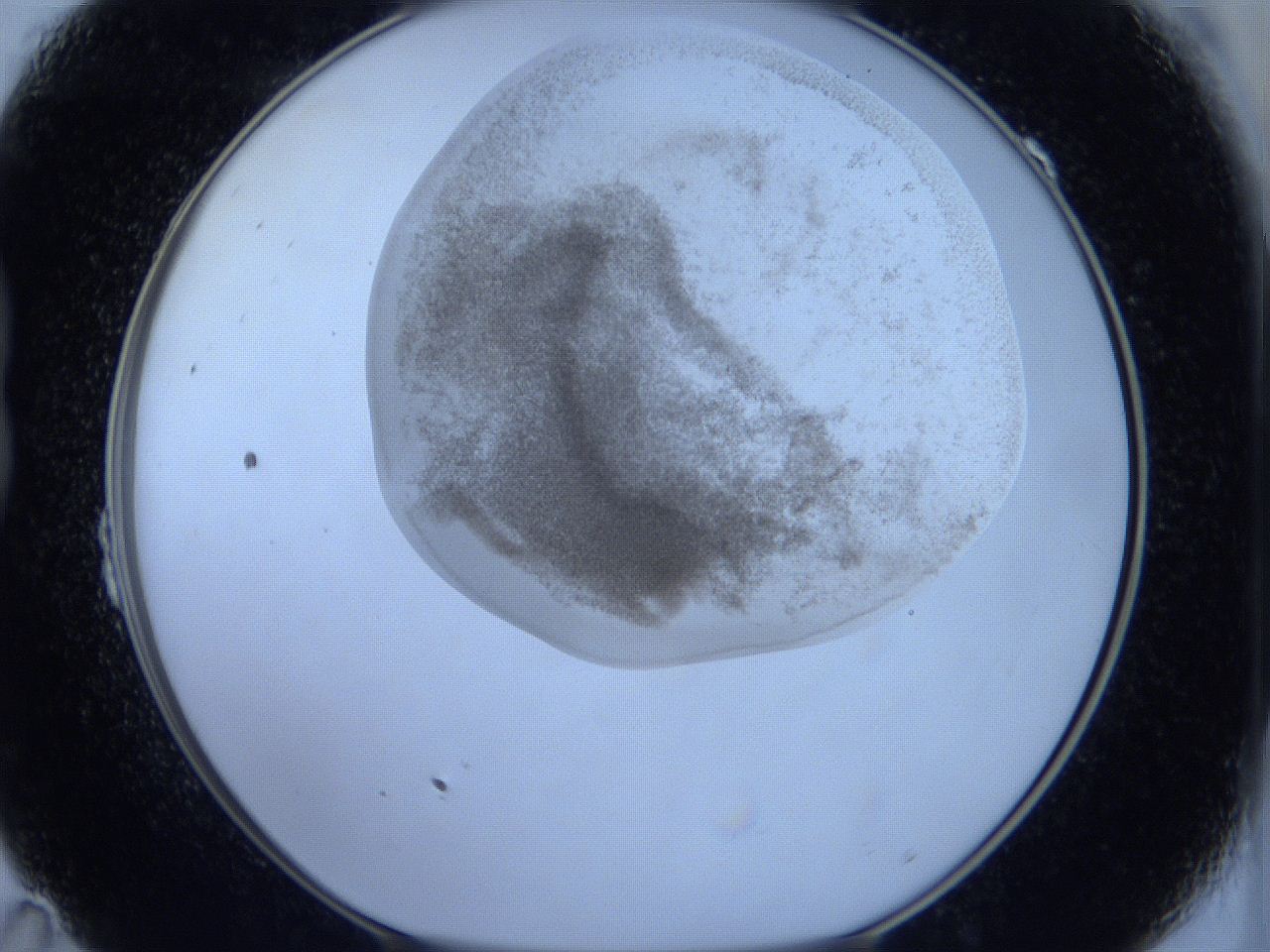 06hg_B11_ImagerDefaults_2.jpg