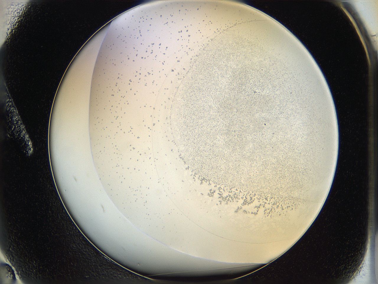 06hh_A2_ImagerDefaults_5.jpg
