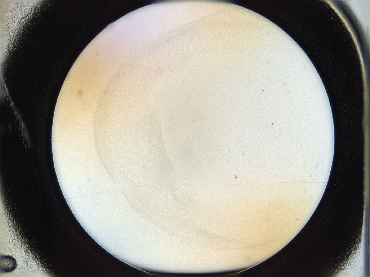 06hh_A5_ImagerDefaults_2.jpg