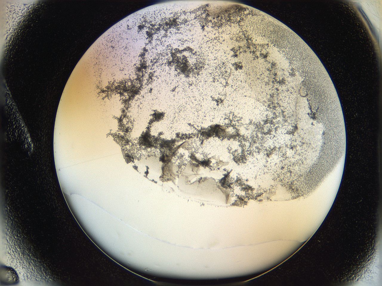 06hh_A6_ImagerDefaults_3.jpg