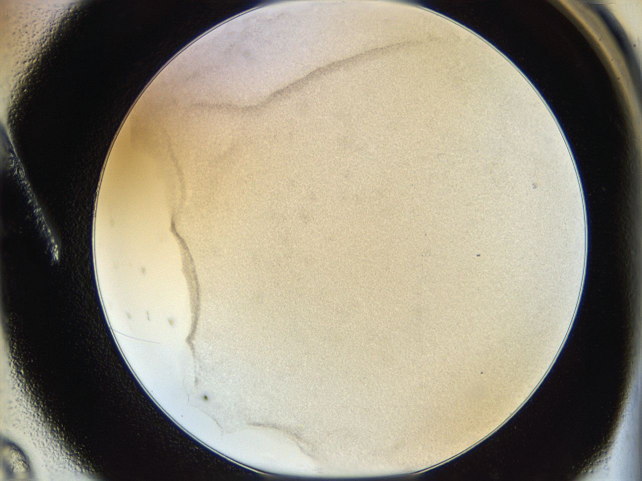 06hh_A8_ImagerDefaults_3.jpg