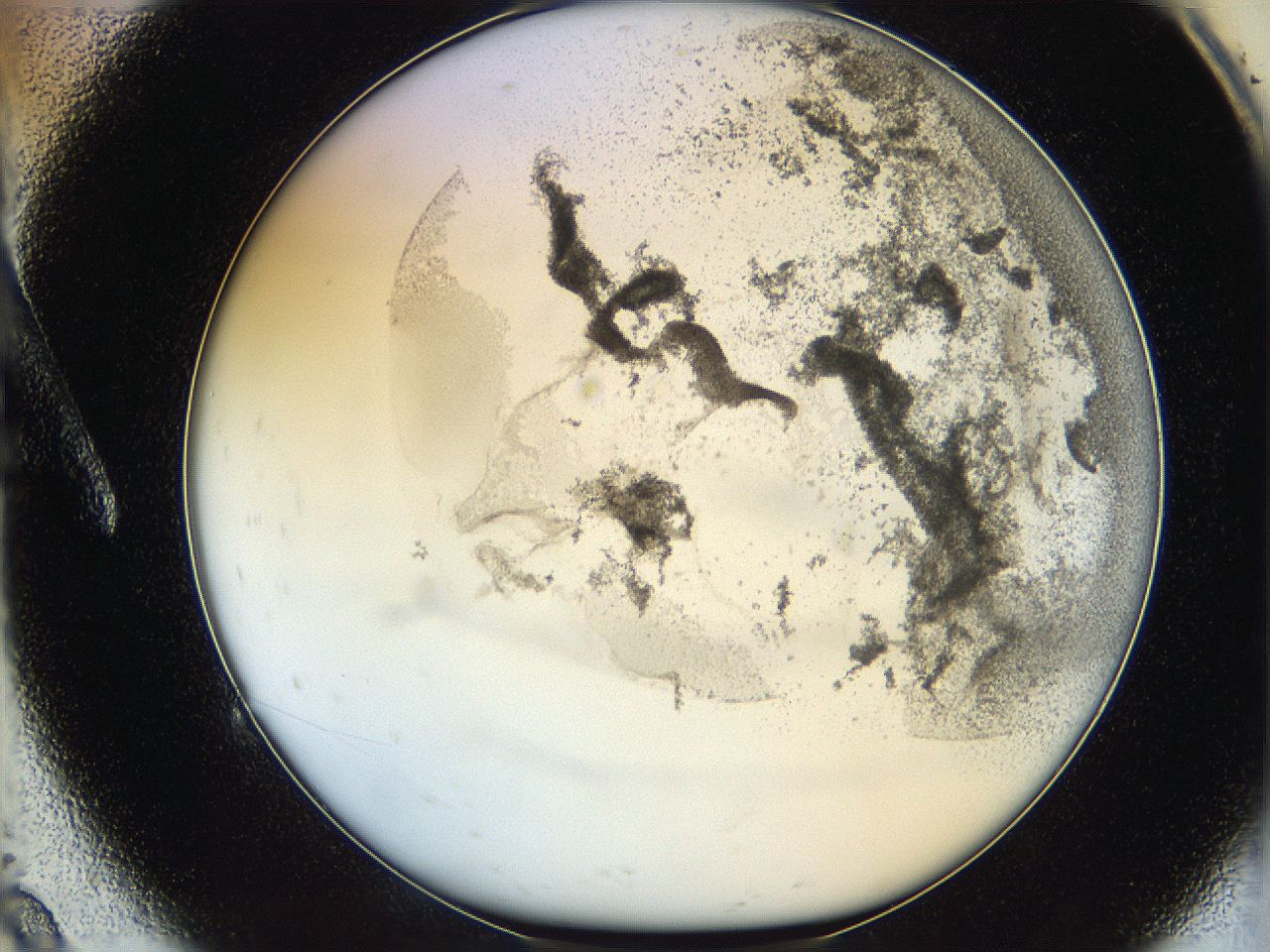 06hh_A9_ImagerDefaults_3.jpg