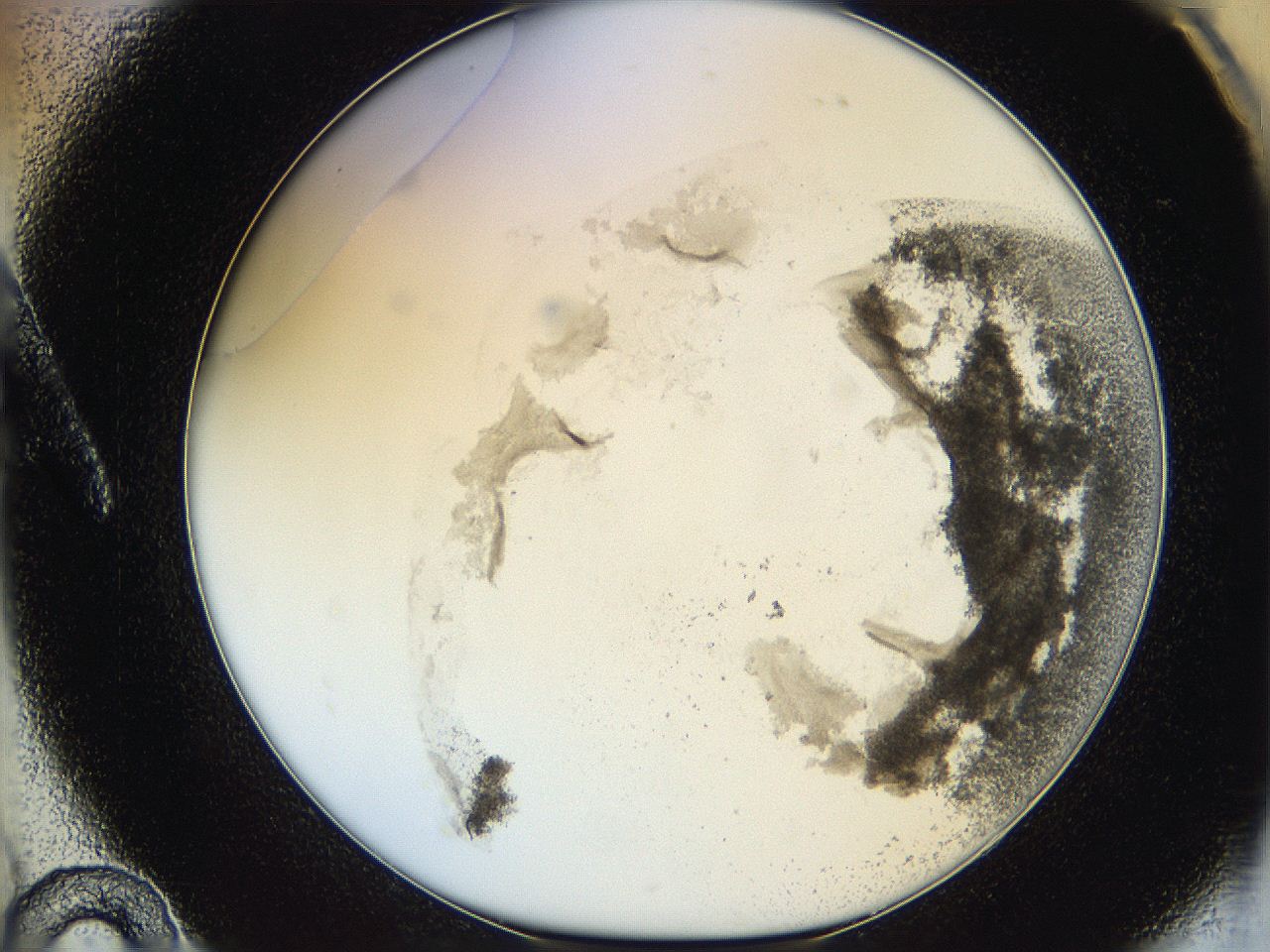 06hh_A10_ImagerDefaults_3.jpg