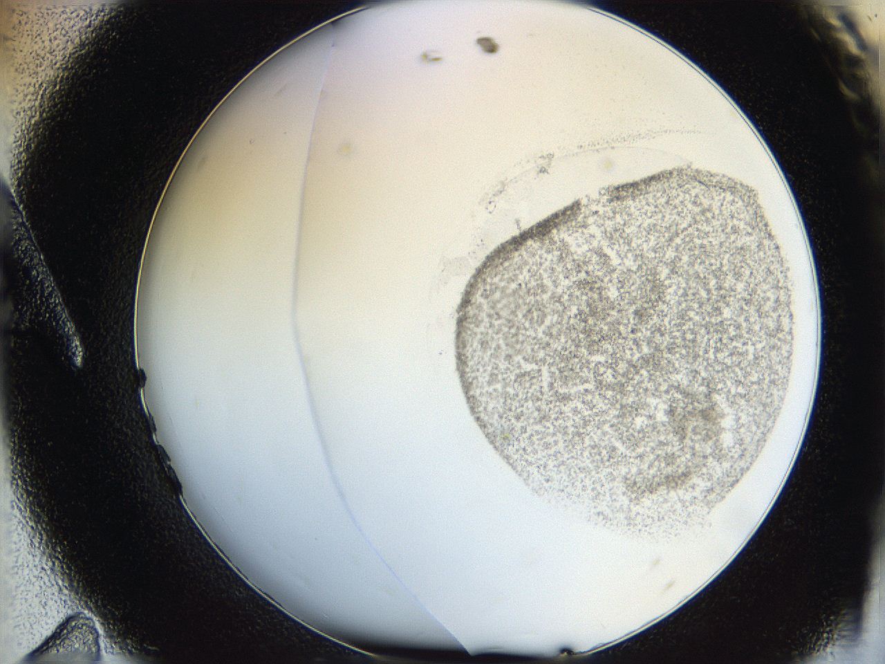 06hh_A11_ImagerDefaults_3.jpg