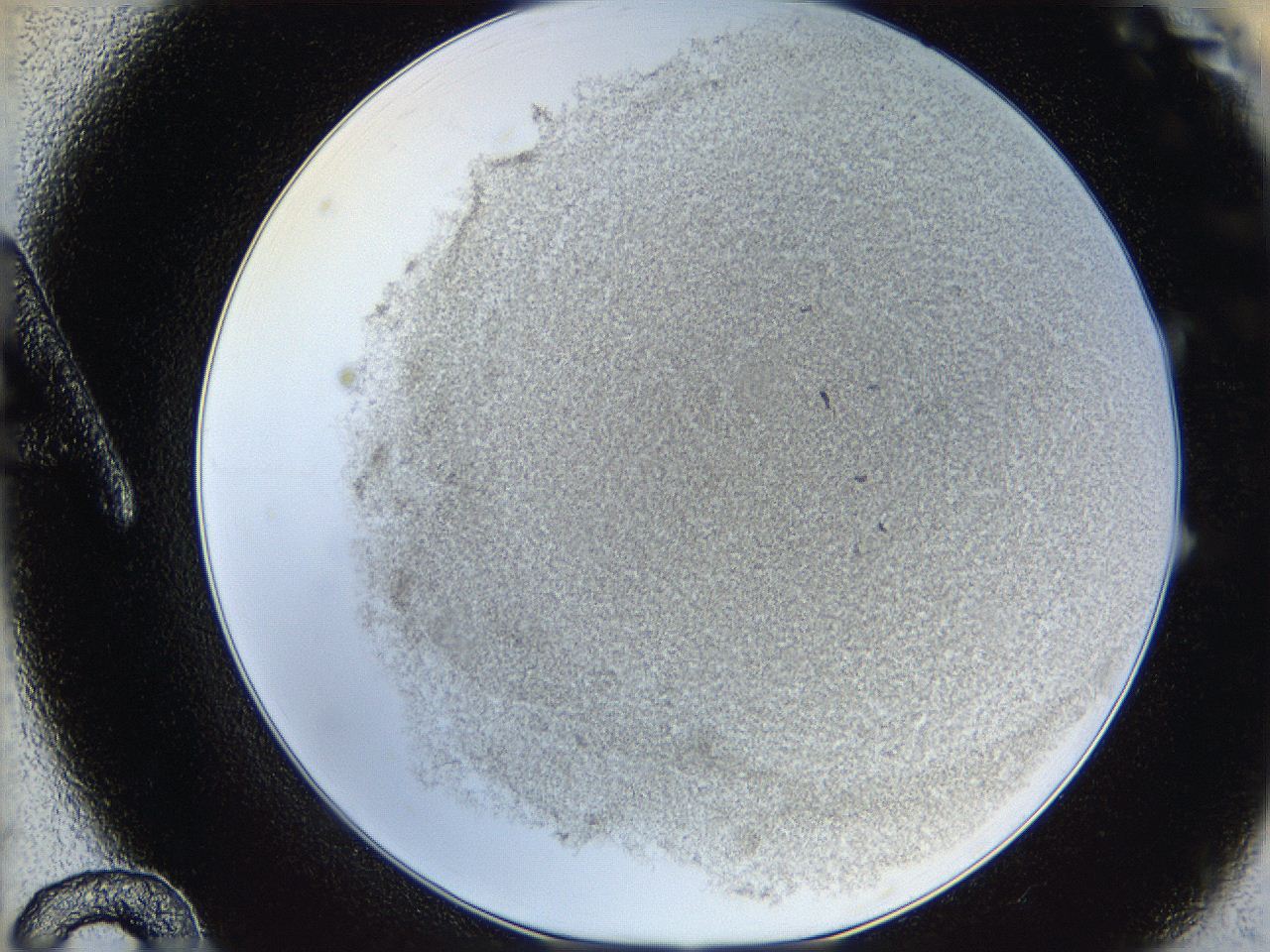 06hh_A12_ImagerDefaults_3.jpg