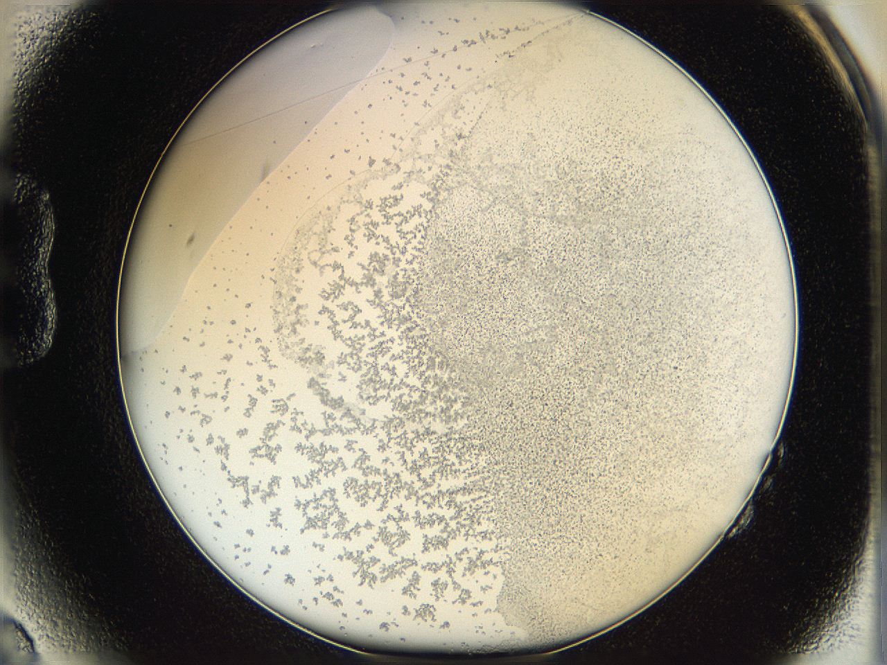 06hh_B2_ImagerDefaults_5.jpg