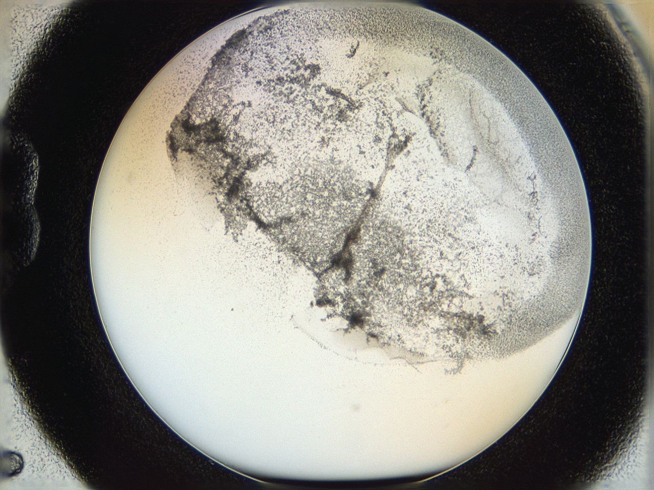 06hh_B5_ImagerDefaults_3.jpg