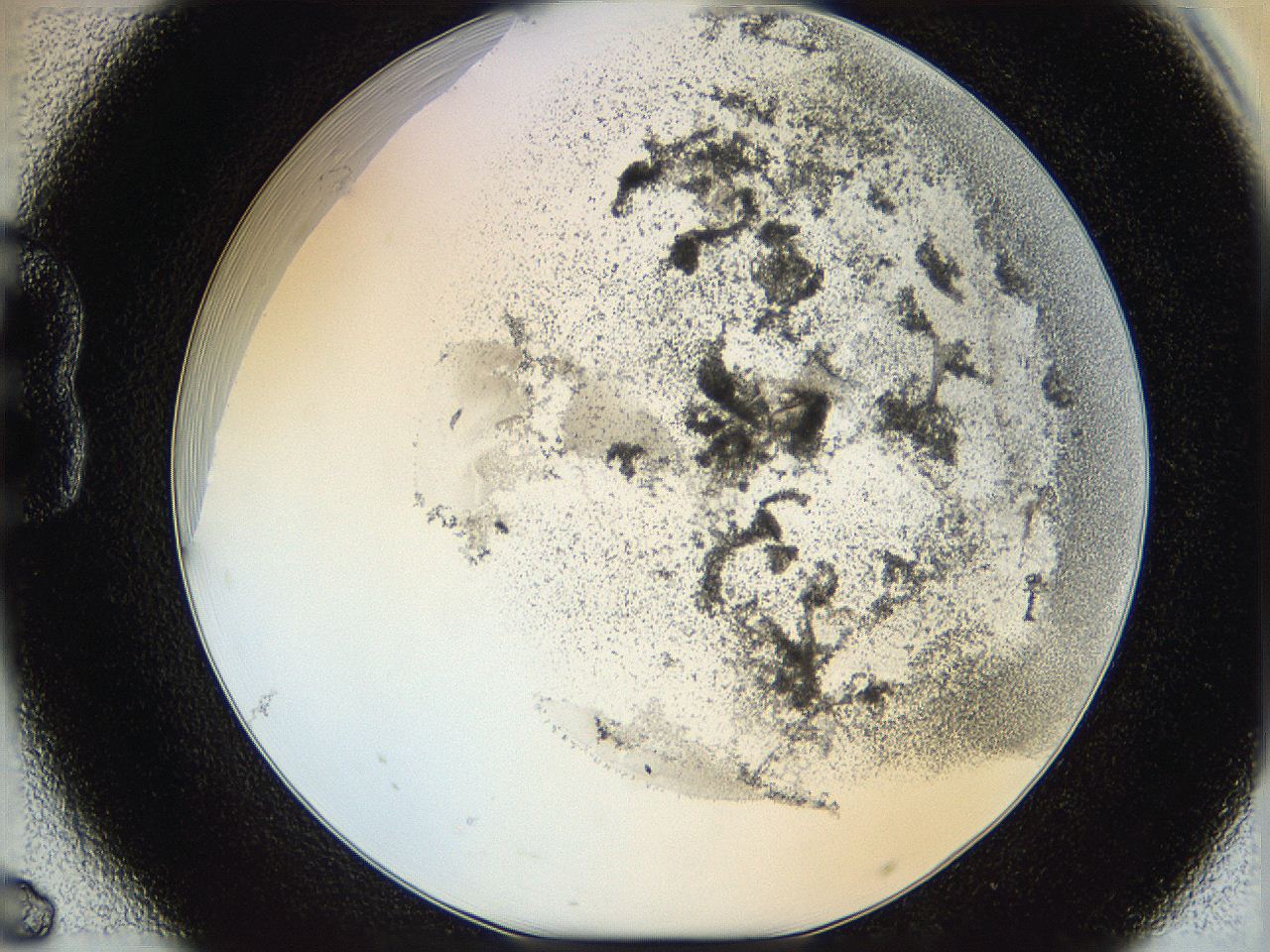 06hh_B6_ImagerDefaults_3.jpg