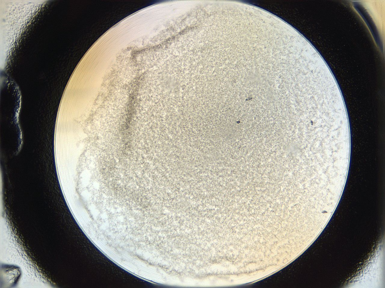06hh_B7_ImagerDefaults_3.jpg