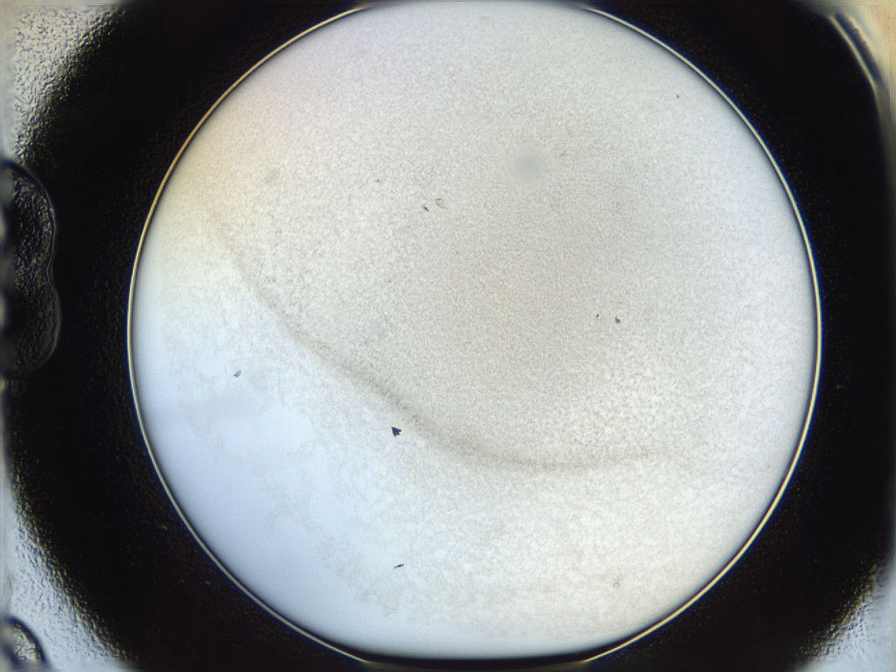06hh_B9_ImagerDefaults_3.jpg
