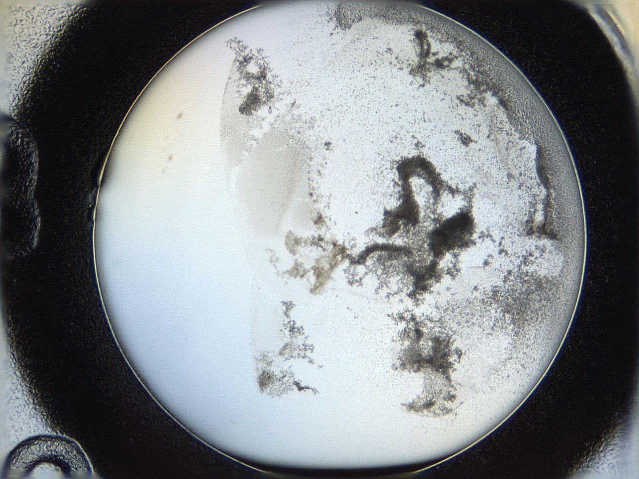 06hh_B10_ImagerDefaults_3.jpg
