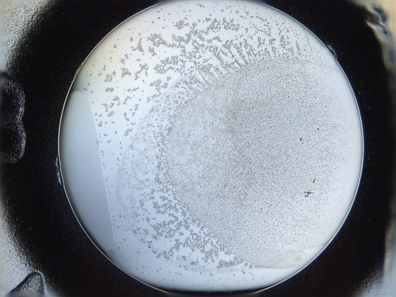 06hh_B11_ImagerDefaults_5.jpg