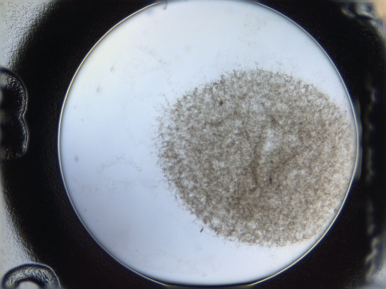 06hh_B12_ImagerDefaults_3.jpg