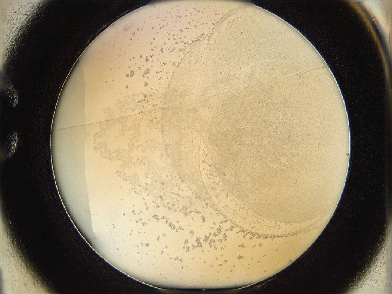06hh_C1_ImagerDefaults_5.jpg