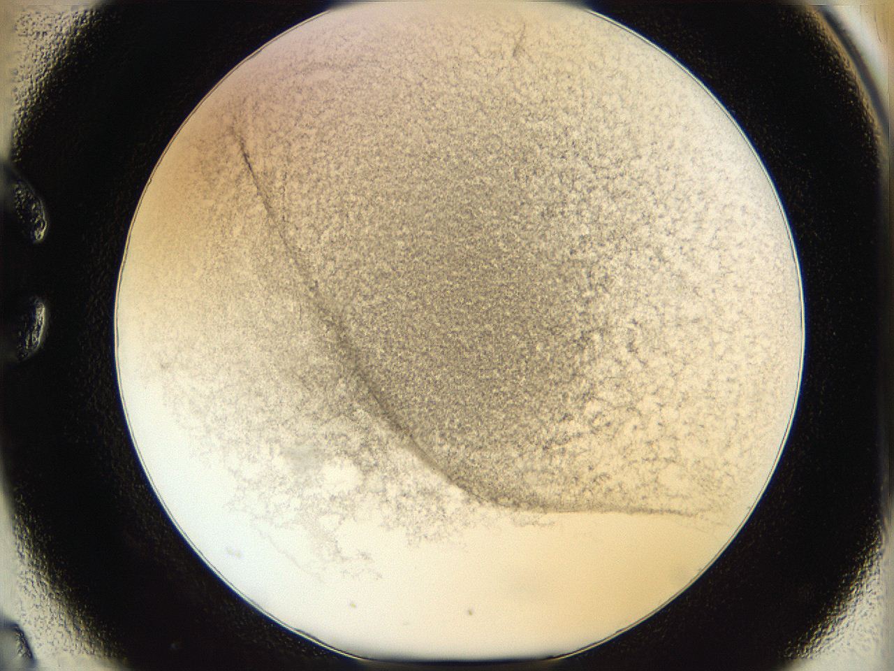 06hh_C2_ImagerDefaults_3.jpg