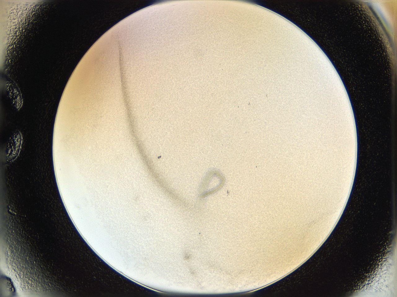 06hh_C3_ImagerDefaults_3.jpg