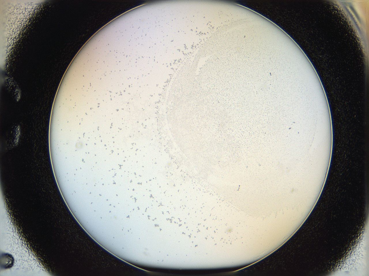 06hh_C5_ImagerDefaults_2.jpg