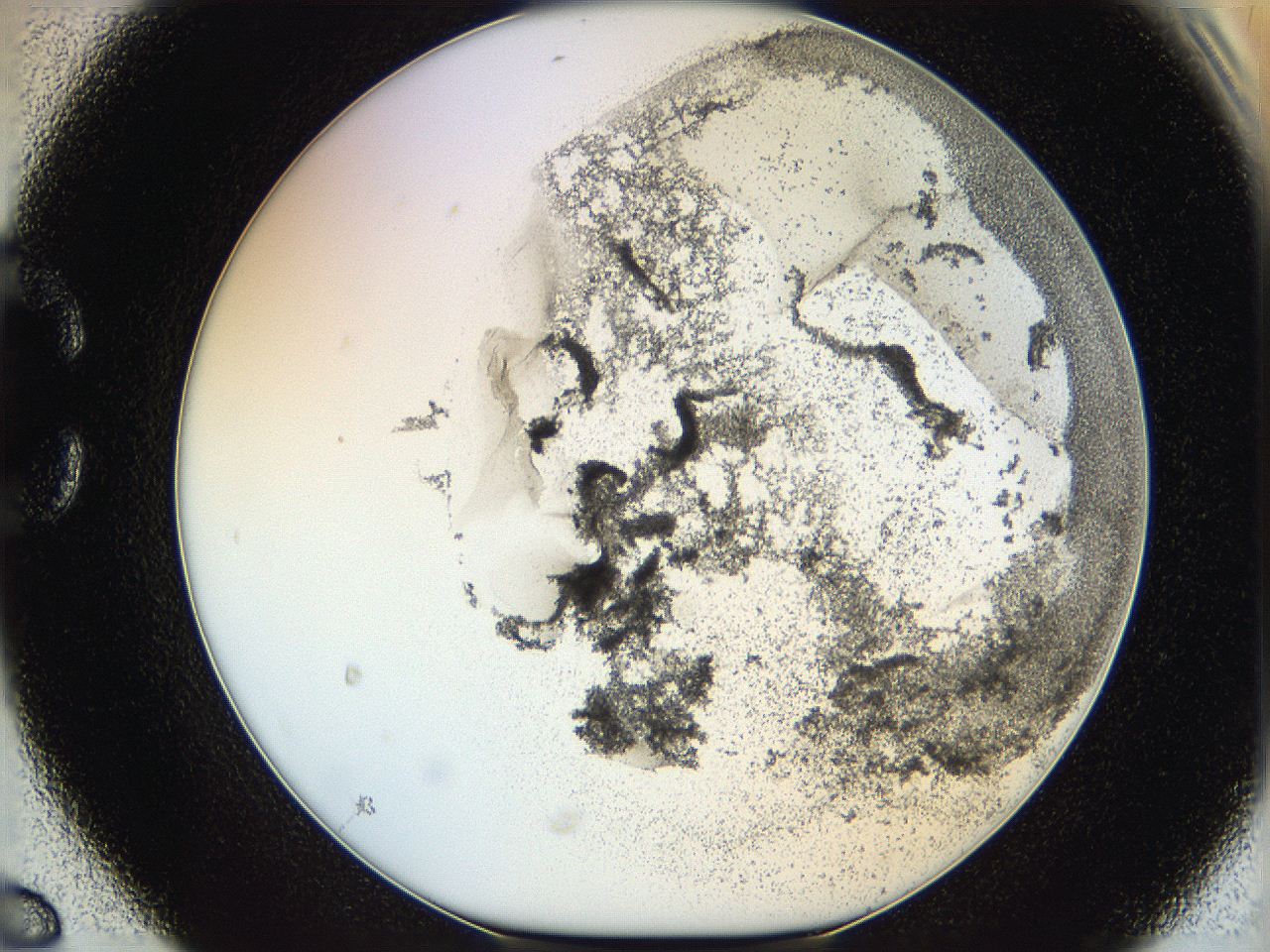 06hh_C6_ImagerDefaults_3.jpg