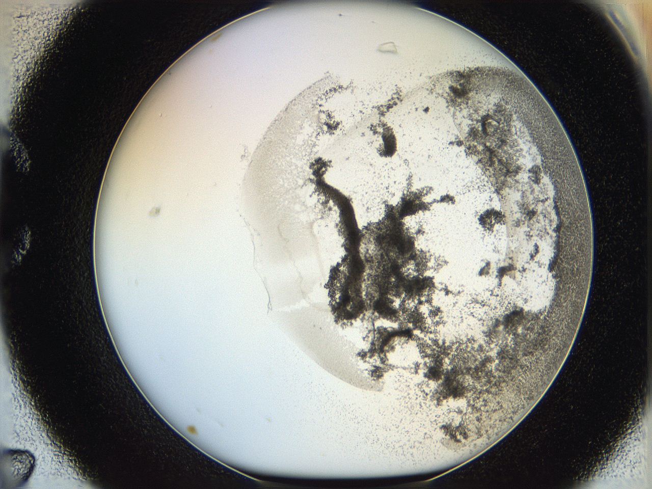 06hh_C7_ImagerDefaults_3.jpg