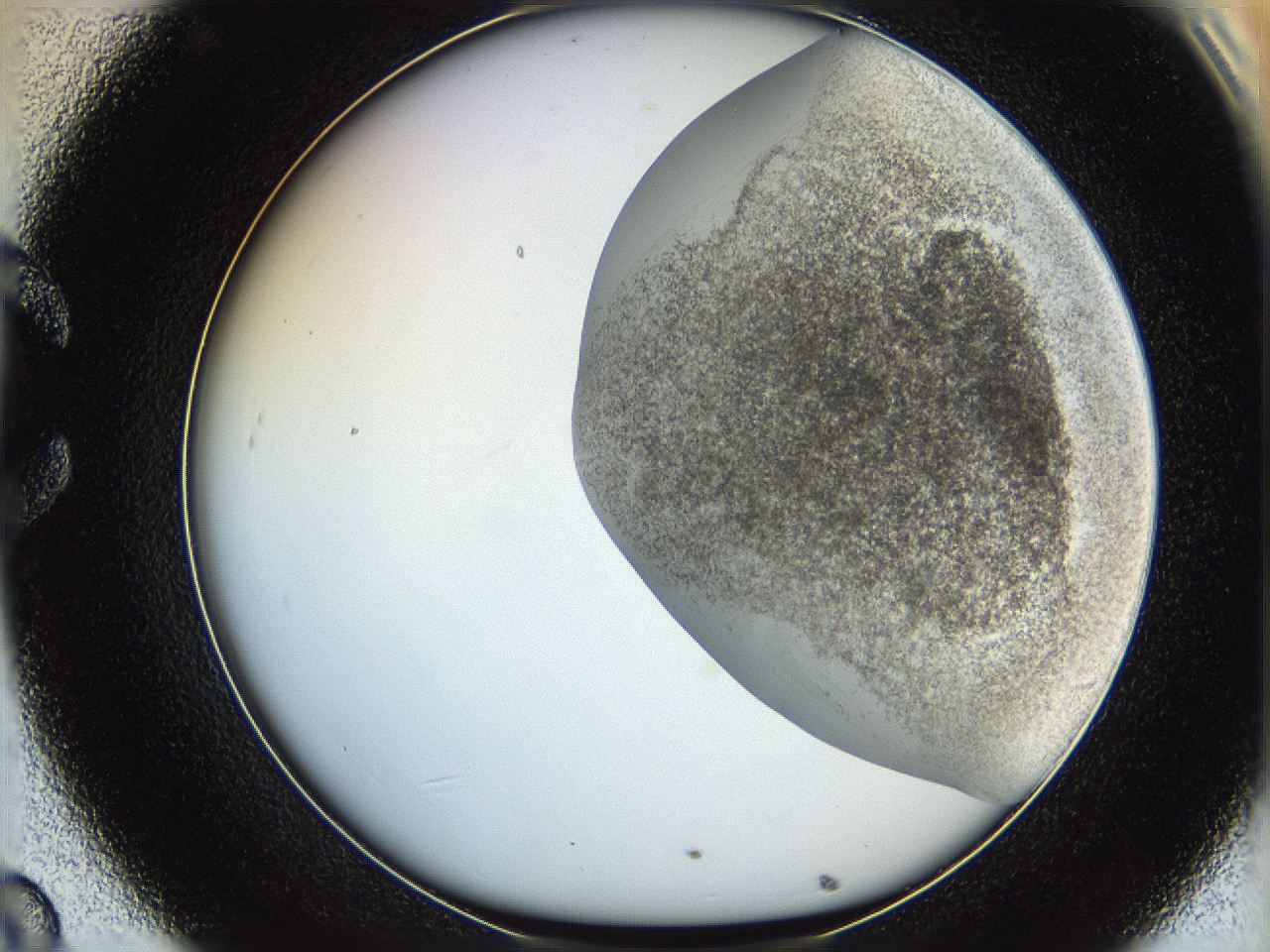 06hh_C8_ImagerDefaults_3.jpg
