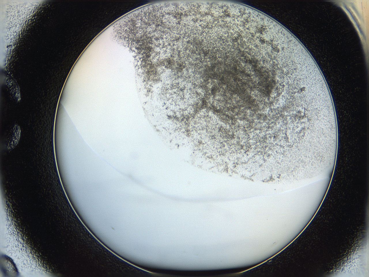 06hh_C9_ImagerDefaults_3.jpg