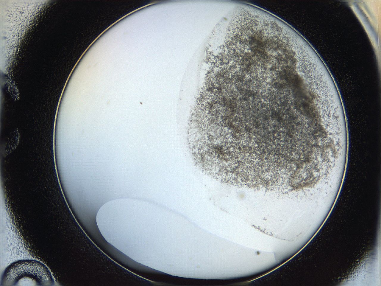 06hh_C10_ImagerDefaults_3.jpg