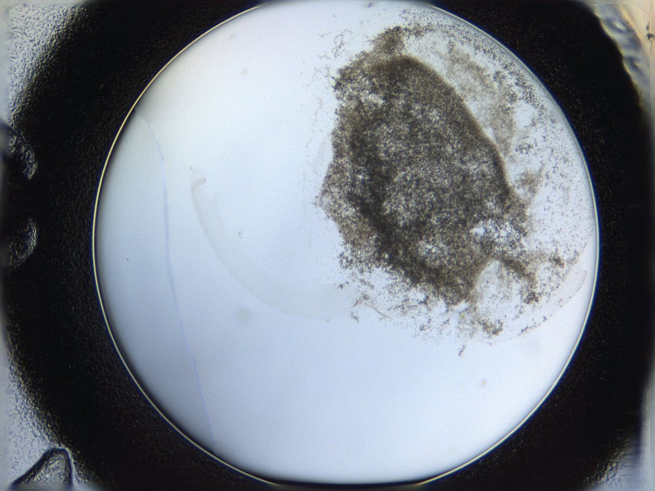 06hh_C11_ImagerDefaults_3.jpg