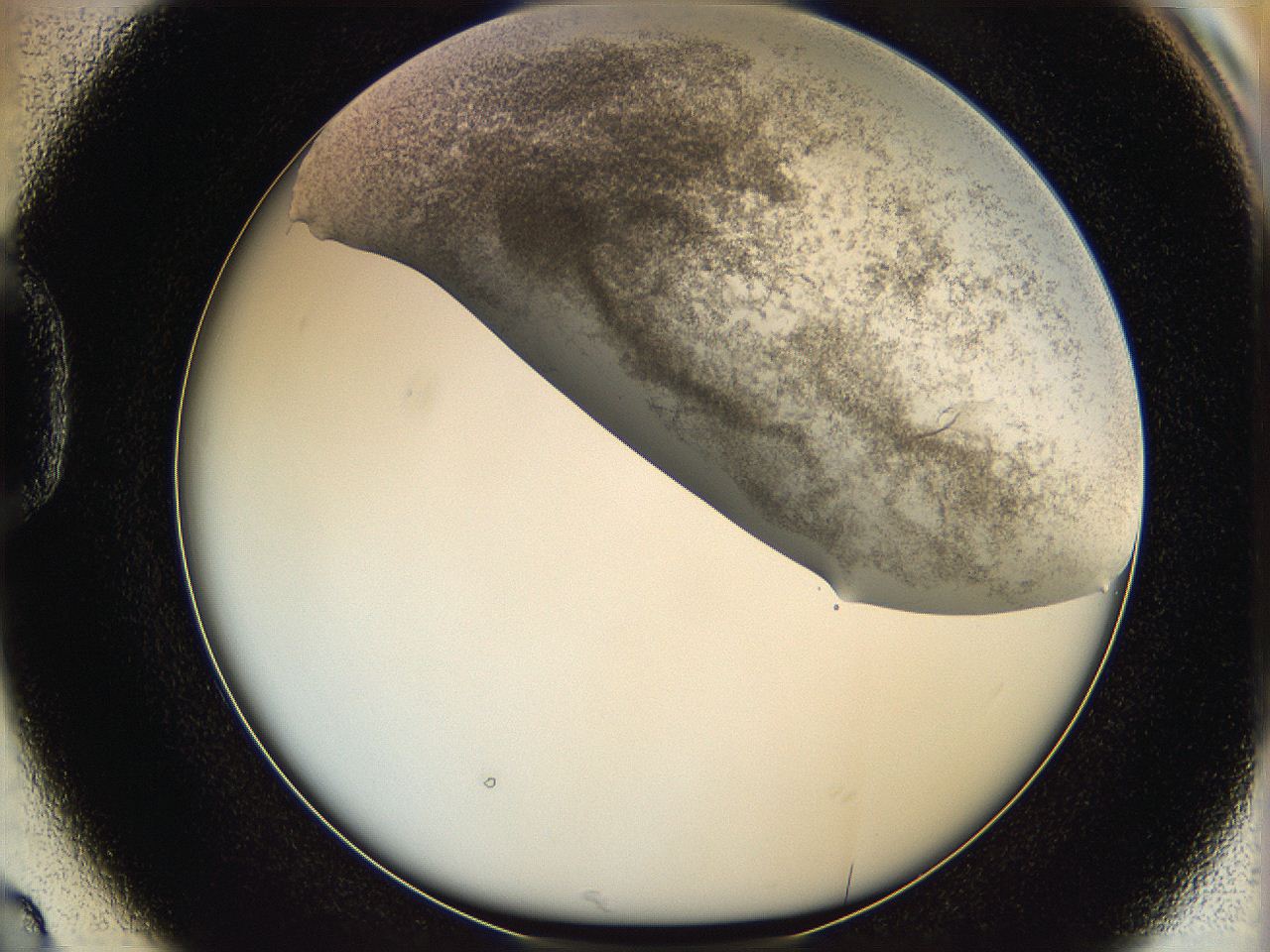 06hh_D2_ImagerDefaults_3.jpg