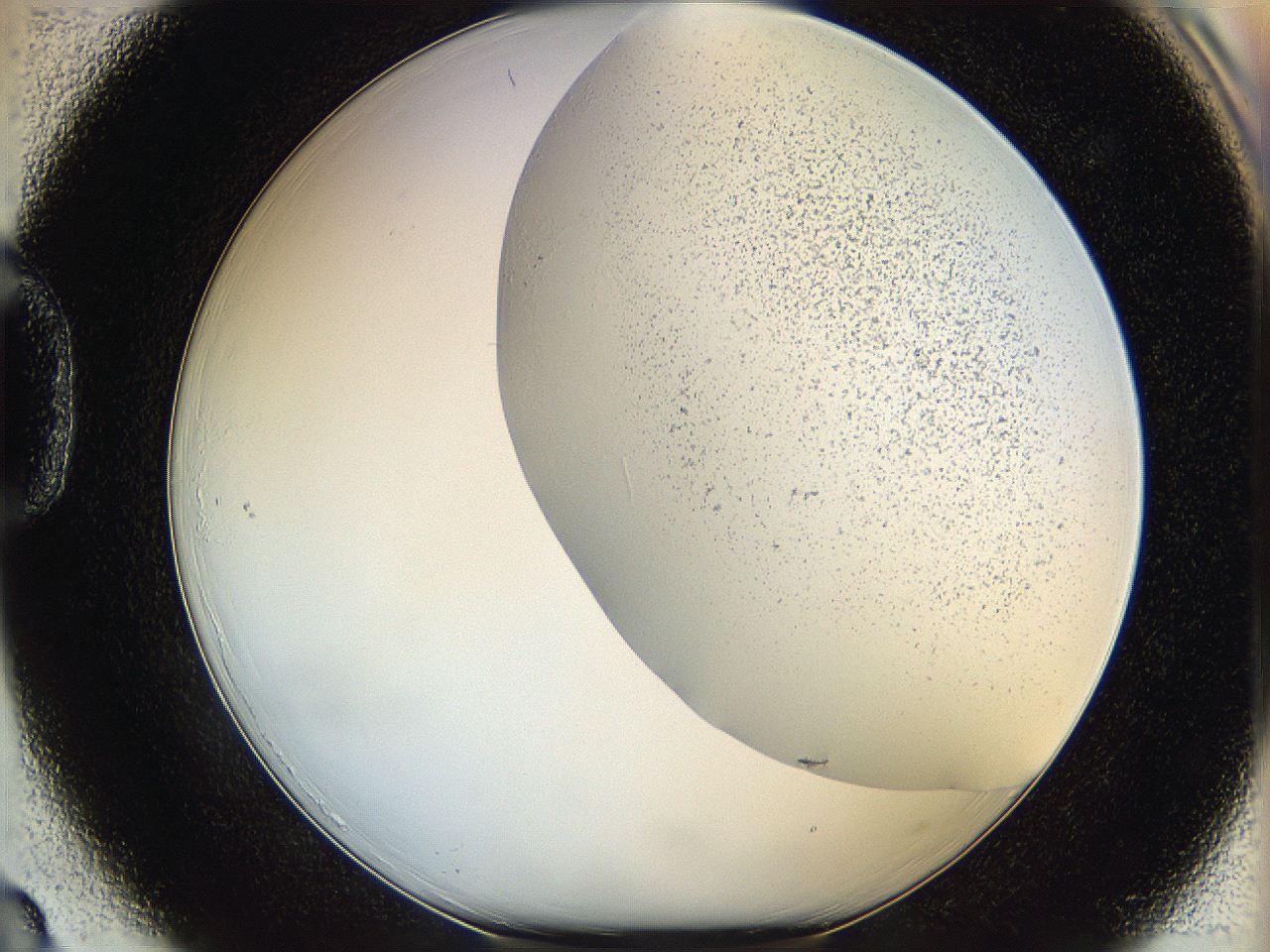 06hh_D3_ImagerDefaults_2.jpg