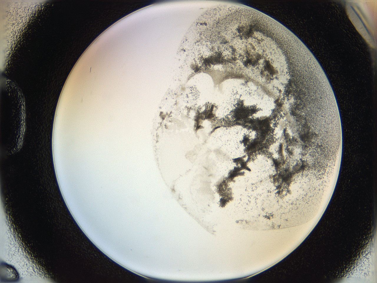 06hh_D6_ImagerDefaults_3.jpg