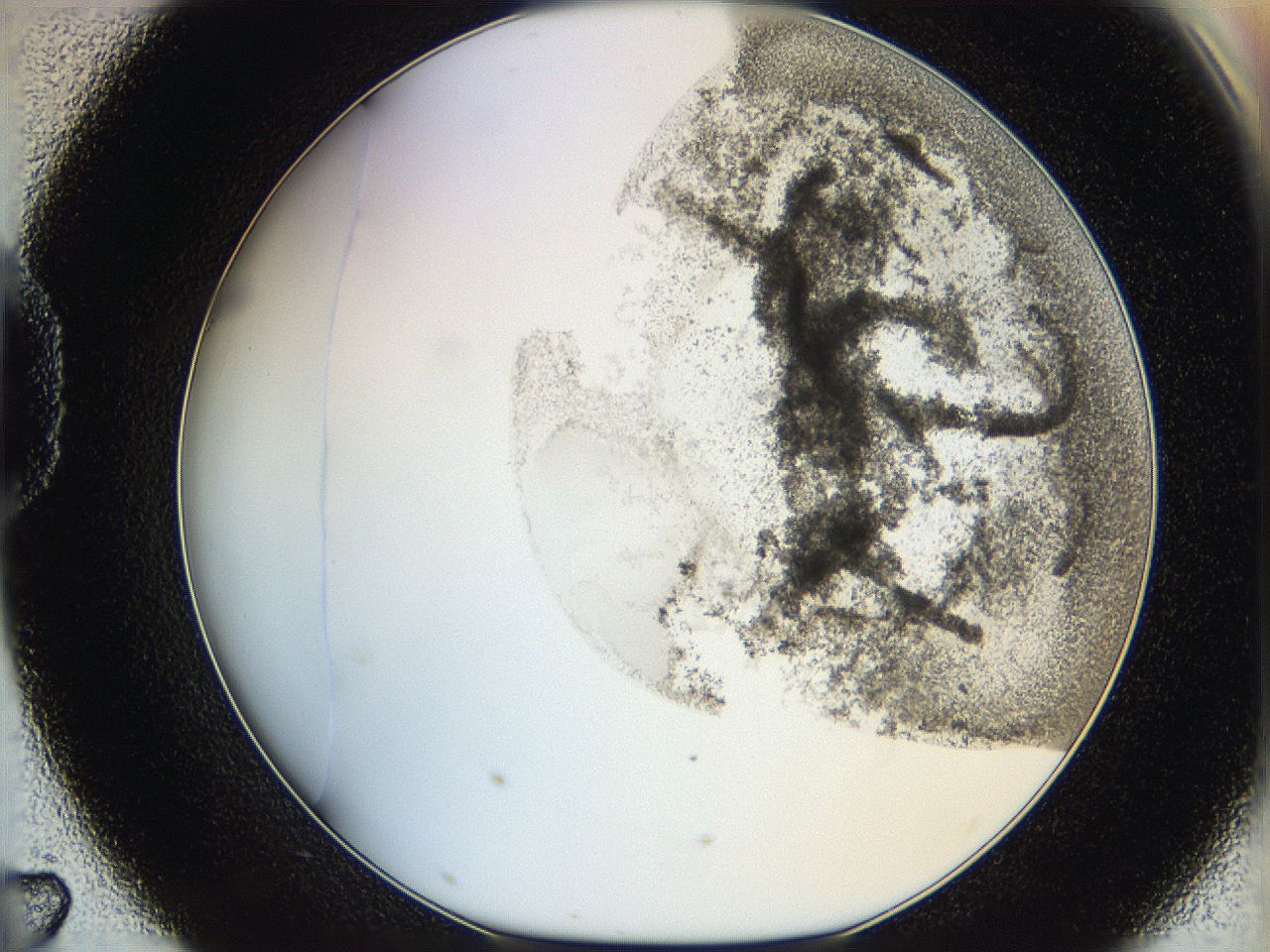 06hh_D7_ImagerDefaults_3.jpg