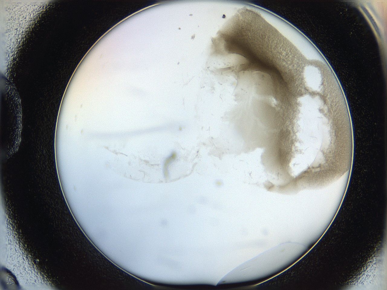 06hh_D9_ImagerDefaults_3.jpg