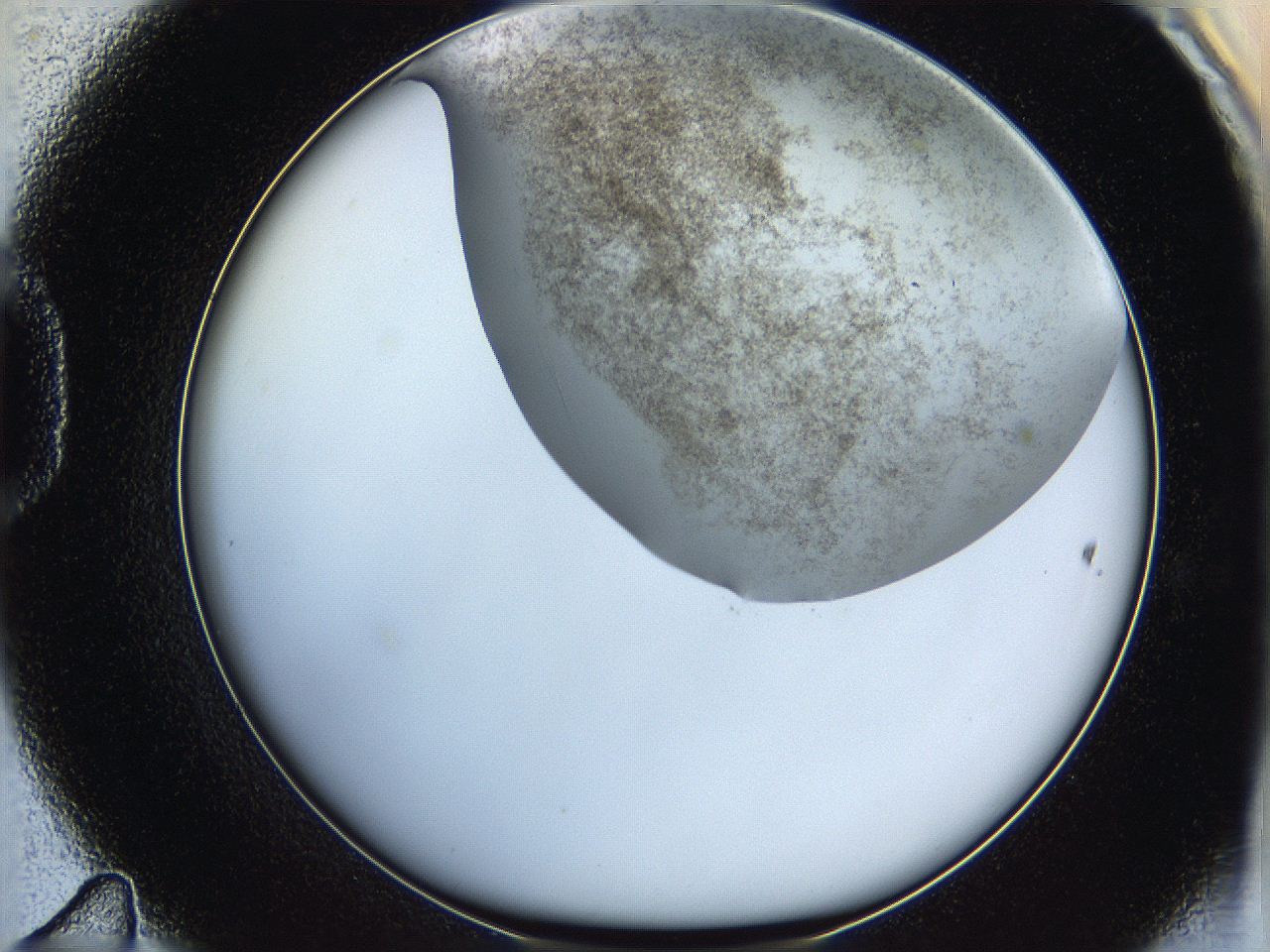 06hh_D11_ImagerDefaults_3.jpg