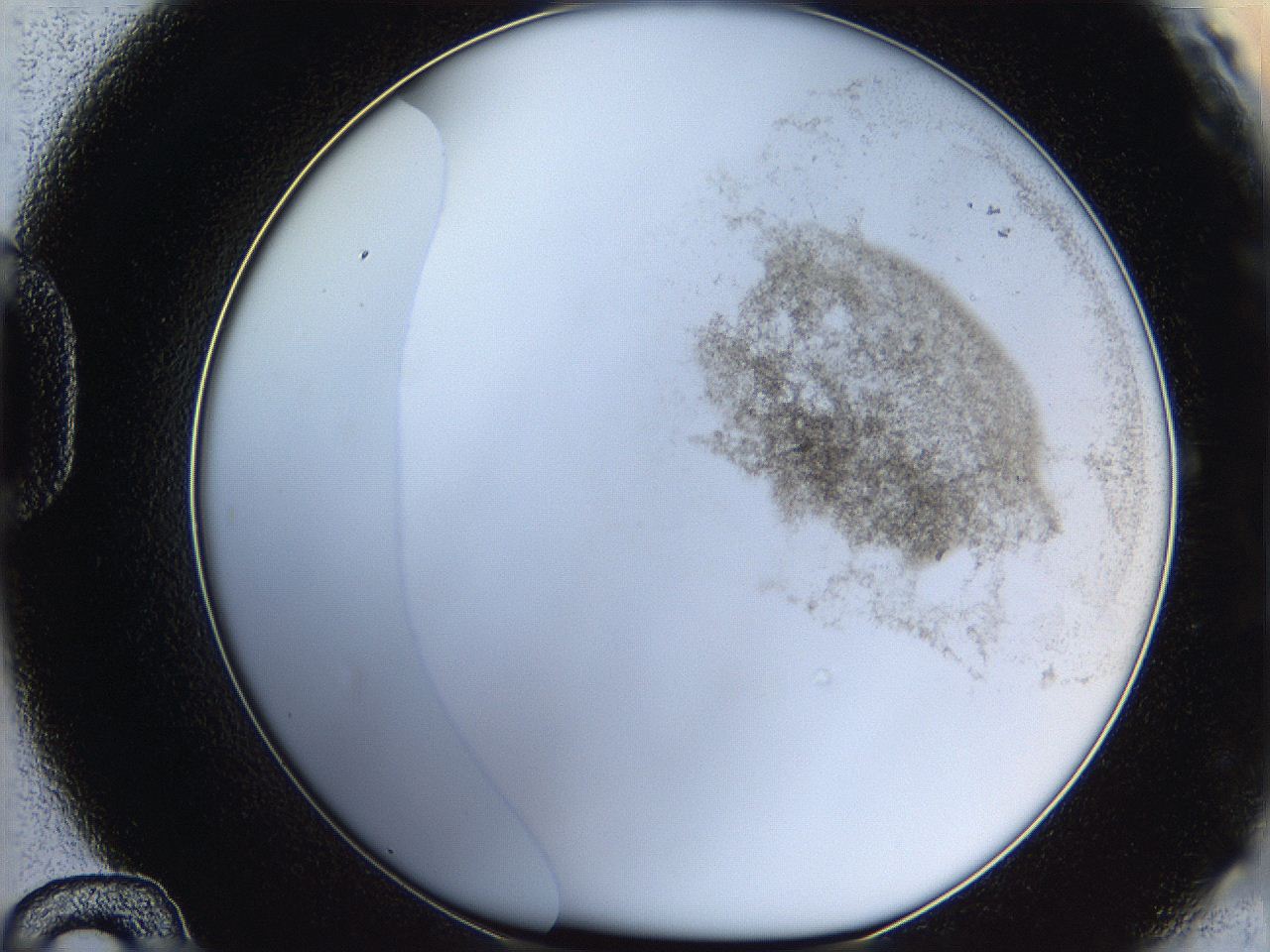 06hh_D12_ImagerDefaults_3.jpg