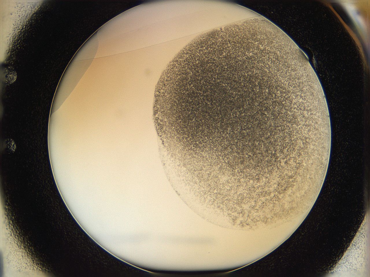 06hh_E1_ImagerDefaults_3.jpg