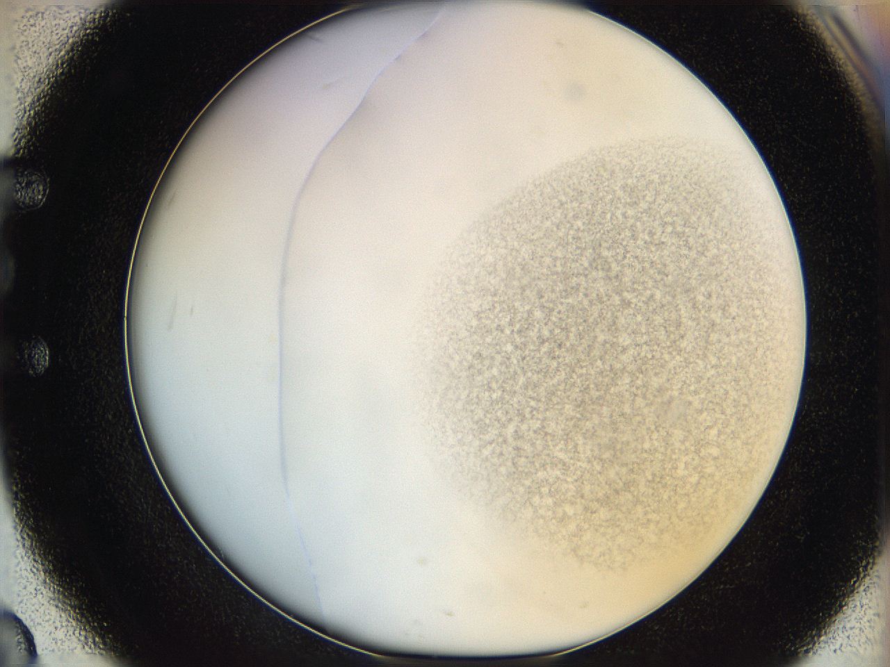 06hh_E3_ImagerDefaults_2.jpg
