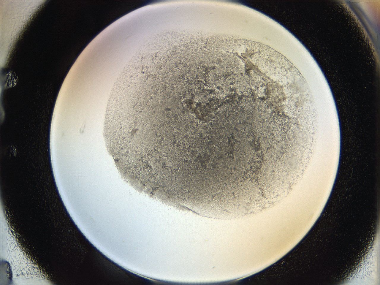 06hh_E4_ImagerDefaults_3.jpg