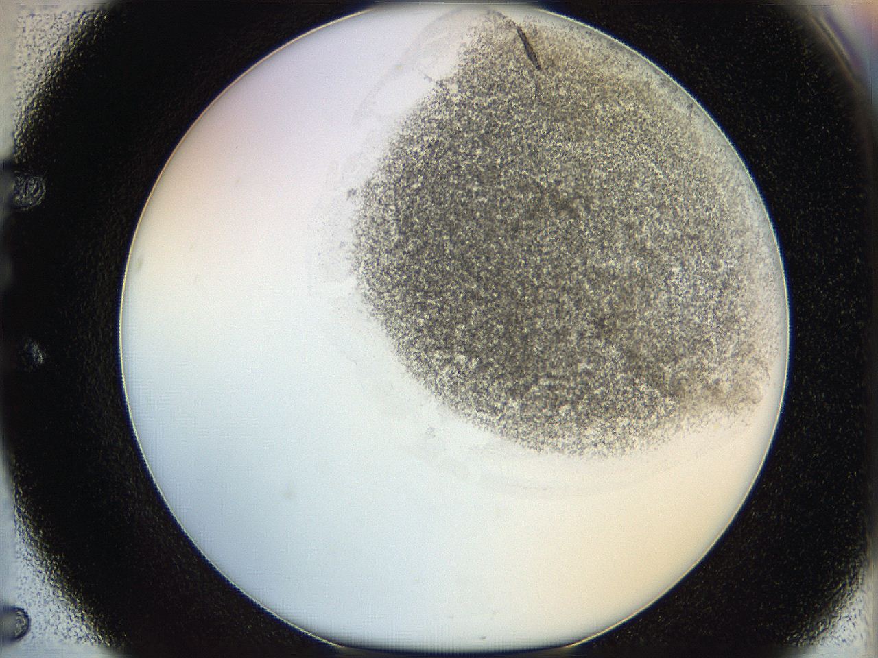06hh_E5_ImagerDefaults_3.jpg