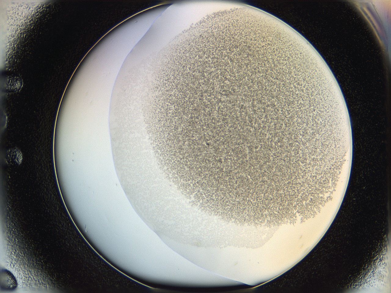 06hh_E6_ImagerDefaults_3.jpg