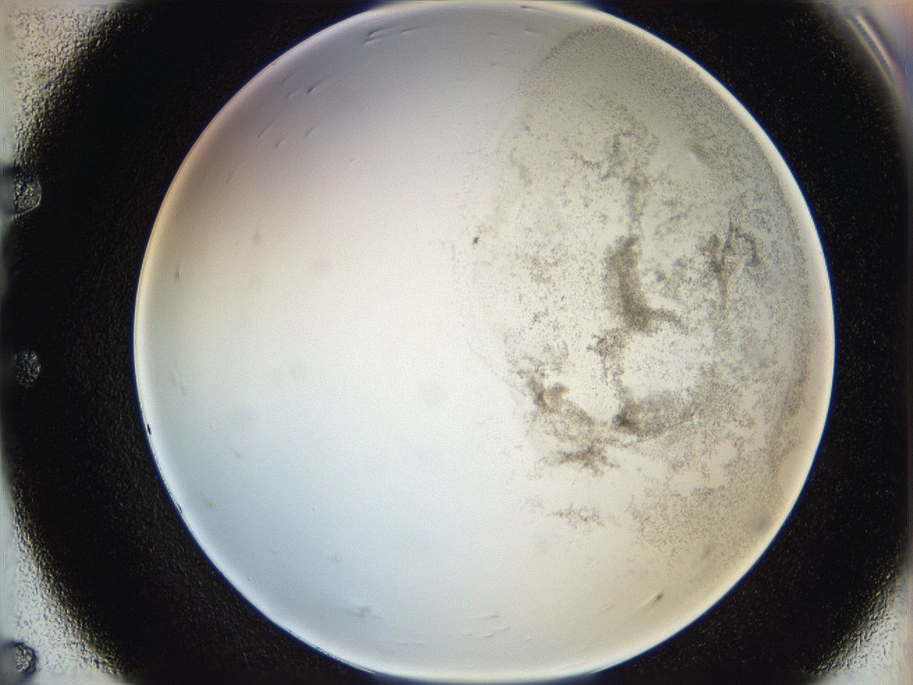 06hh_E7_ImagerDefaults_3.jpg