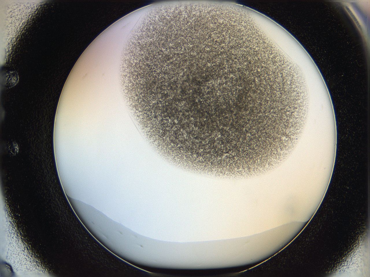 06hh_E8_ImagerDefaults_3.jpg
