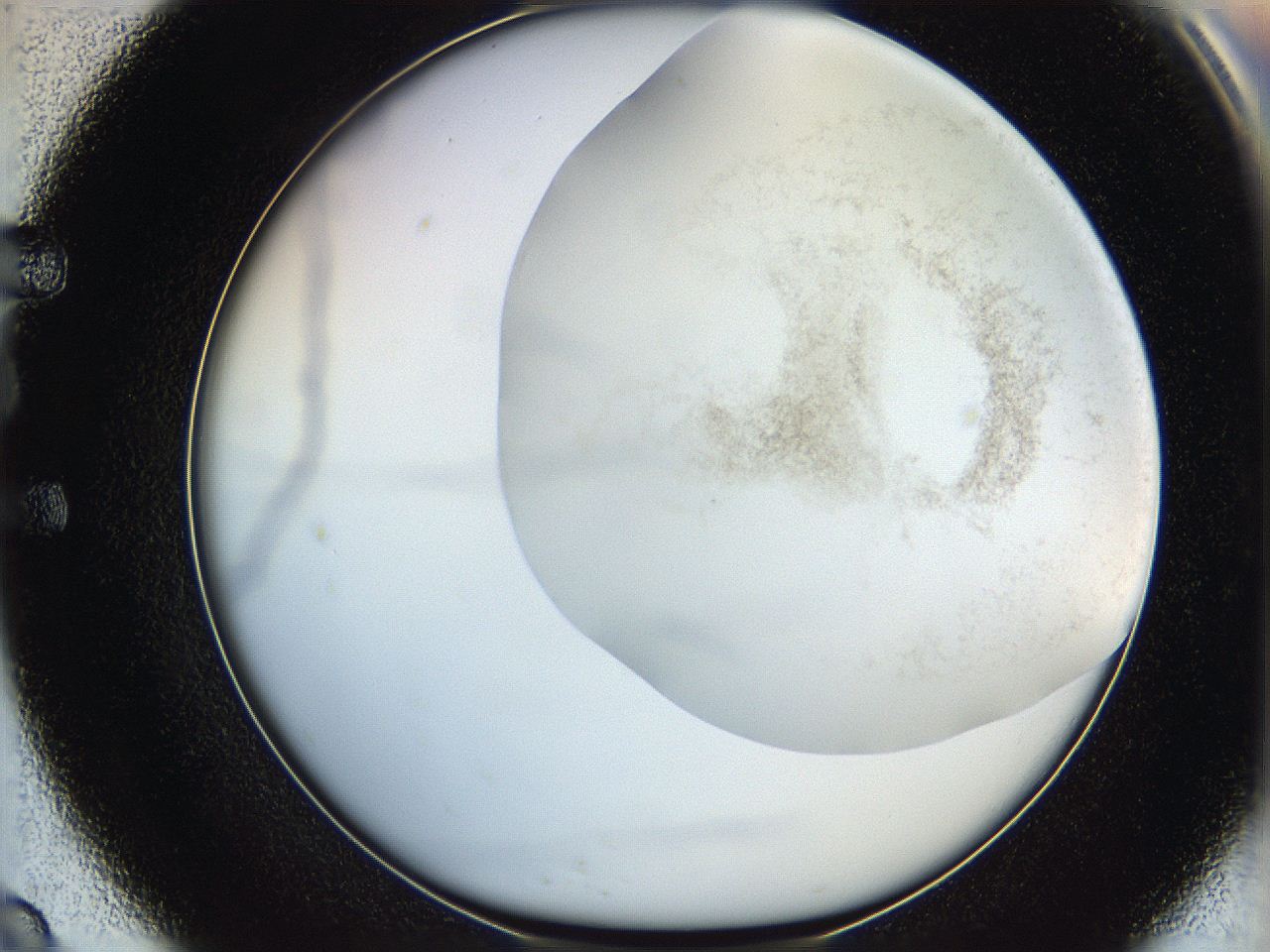 06hh_E9_ImagerDefaults_2.jpg