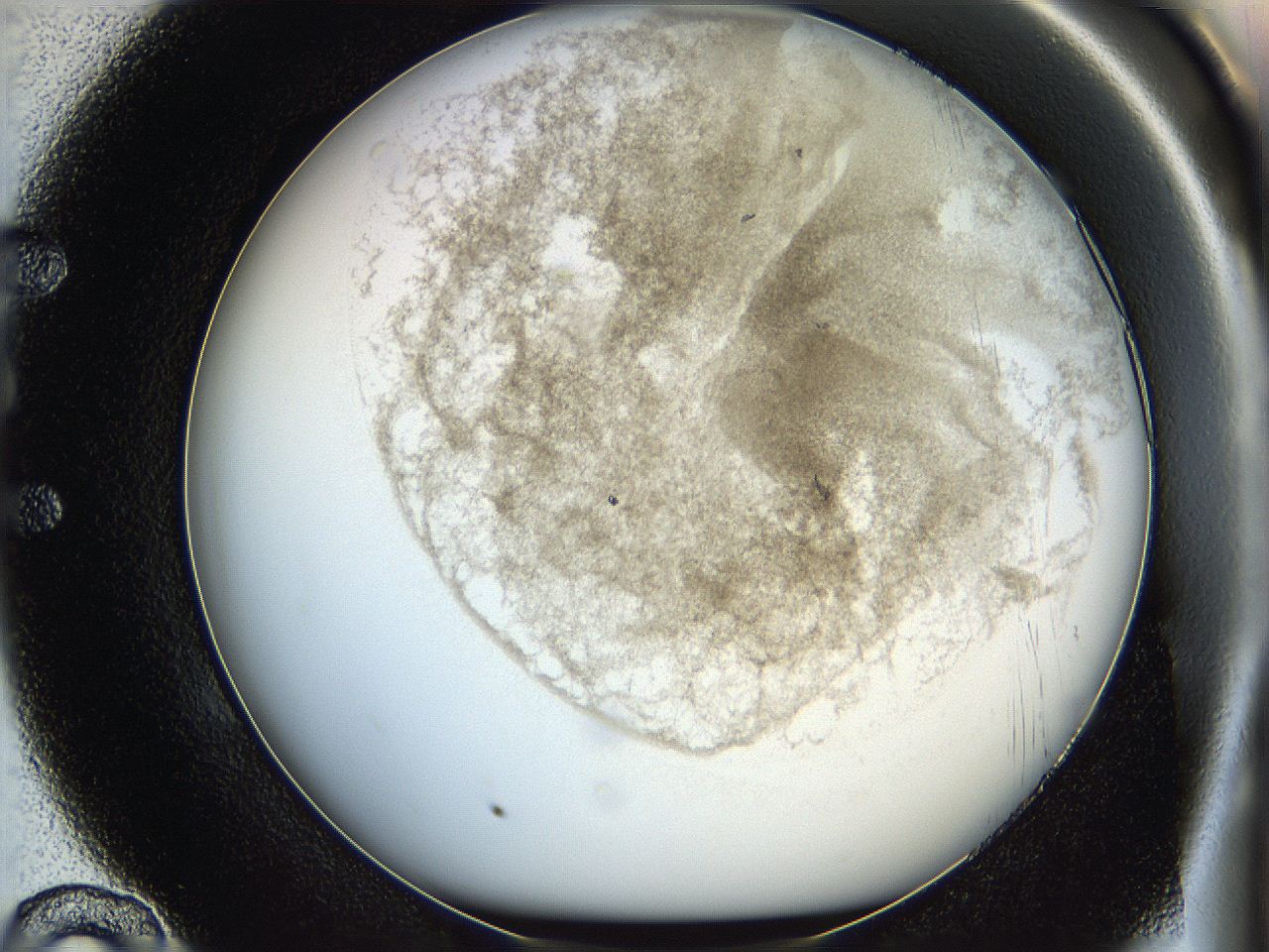 06hh_E10_ImagerDefaults_3.jpg