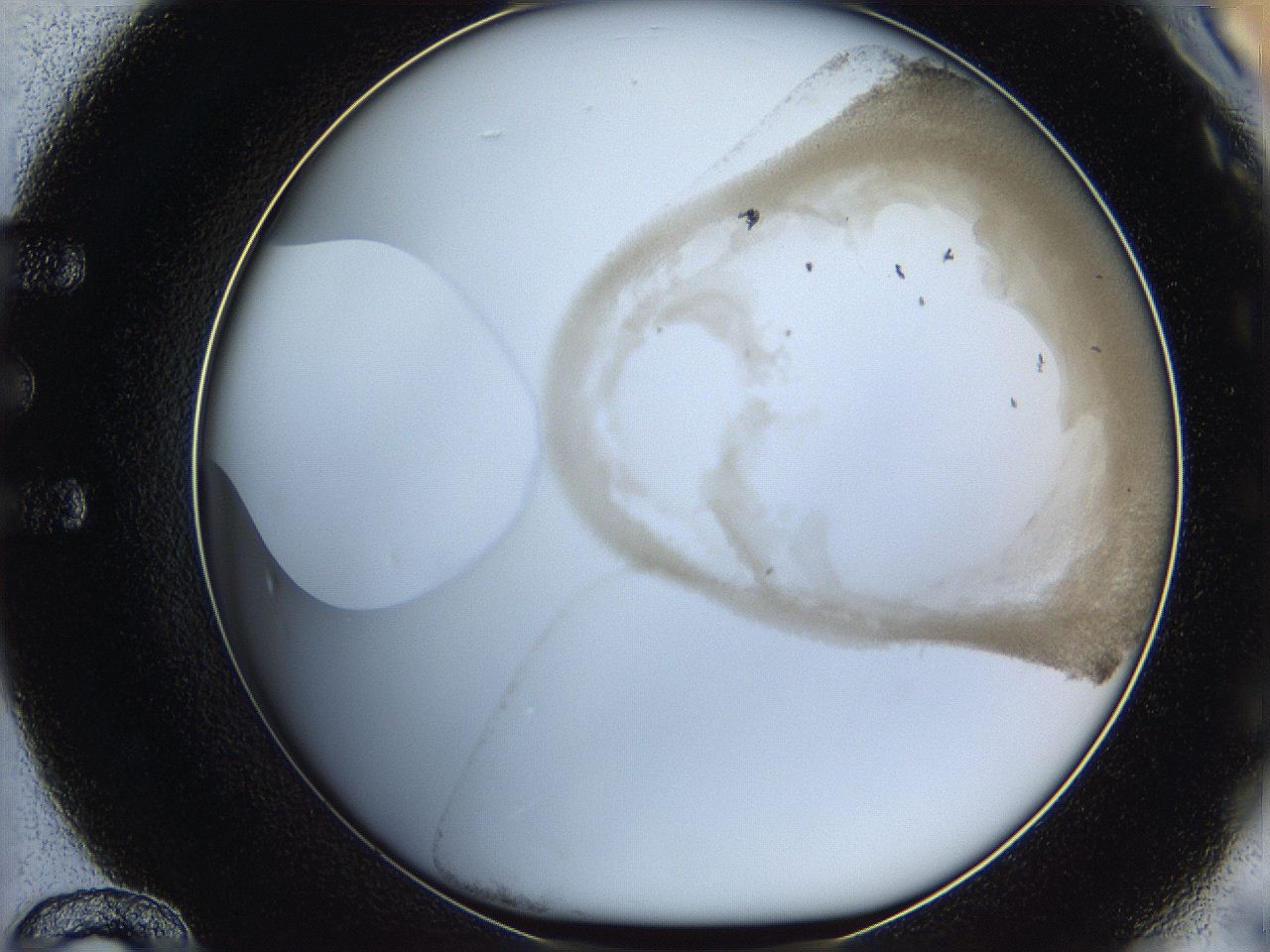 06hh_E12_ImagerDefaults_3.jpg