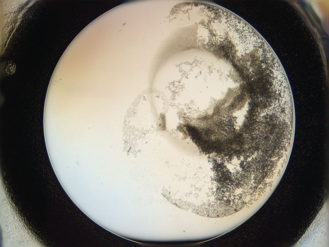 06hh_F1_ImagerDefaults_3.jpg