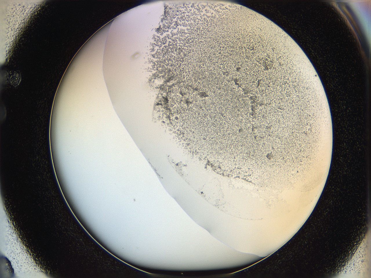 06hh_F3_ImagerDefaults_2.jpg