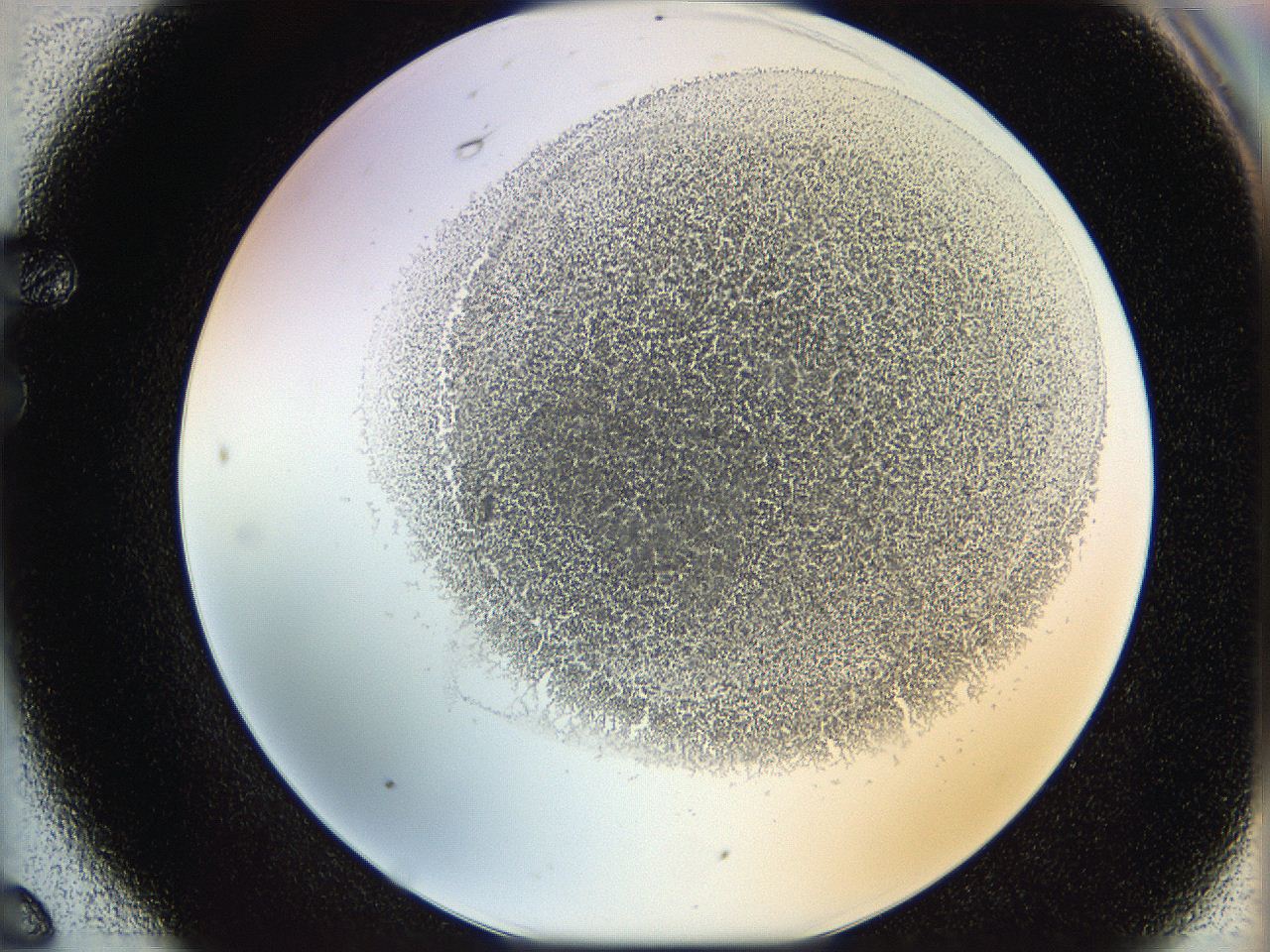 06hh_F6_ImagerDefaults_3.jpg